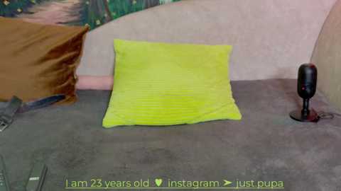 pinkypupa_love @ bongacams on 20241106