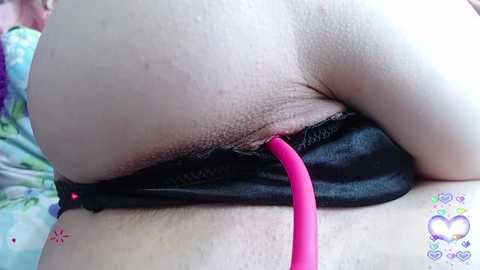 pevicha @ bongacams on 20241107