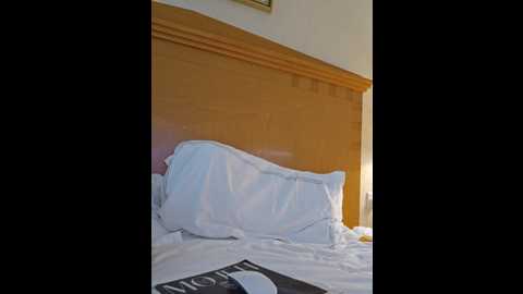 mr_and_mrs_smith_xxl @ bongacams on 20241109
