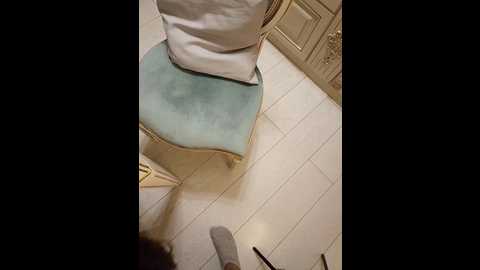gerda_and_kai @ bongacams on 20241111