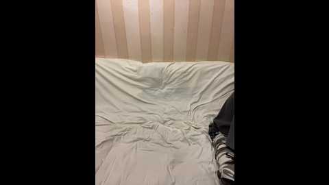 russiabrazers @ bongacams on 20241111