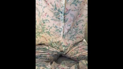 kt98 @ bongacams on 20241113