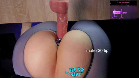 kira_kell @ bongacams on 20241115