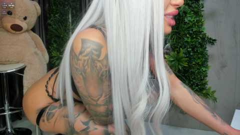 diamondjo @ bongacams on 20241120