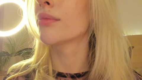 your_alice @ bongacams on 20241122