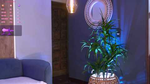 kateowens @ bongacams on 20241123