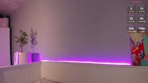 linastones @ bongacams on 20241125