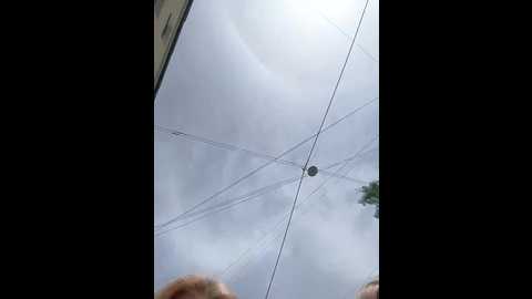 vibromashulkadashulka @ bongacams on 20250527