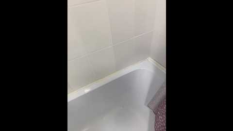 linatwins @ bongacams on 20250529