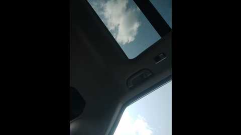 bonne_aurore