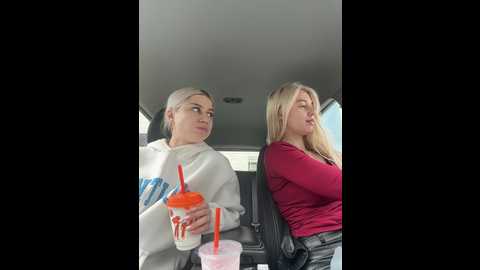 vibromashulkadashulka @ bongacams on 20250626