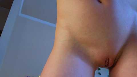 lili_roze @ bongacams on 20250629