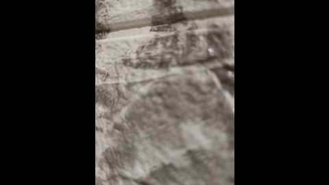 nastia78a @ bongacams on 20250629