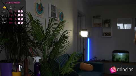 mel_collins @ bongacams on 20250630