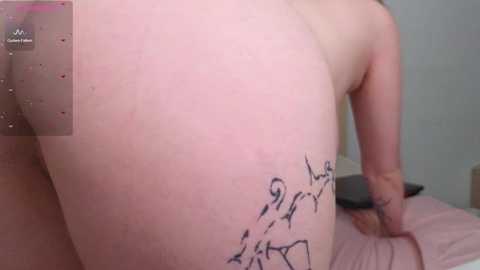 lilith_hustle @ bongacams on 20250711