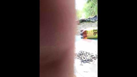 paramaund @ bongacams on 20250712