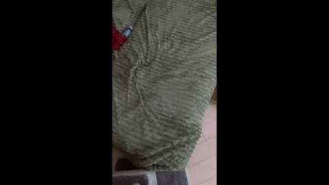 pricessss1 @ bongacams on 20250712