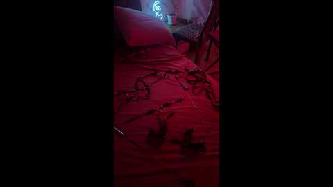 vertigo1907 @ bongacams on 20250714