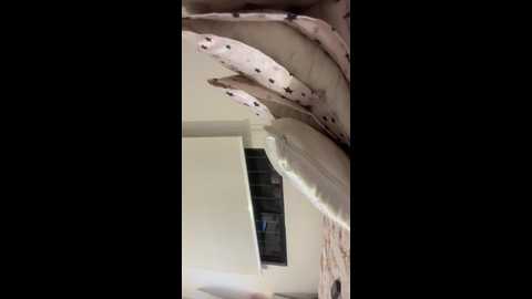 sallyeleins @ bongacams on 20250723