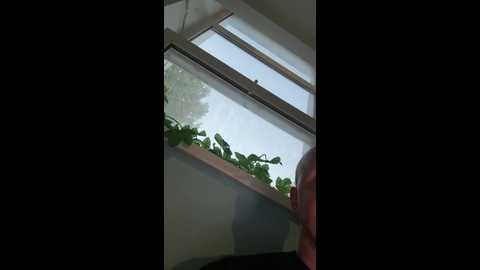tr1xie @ bongacams on 20250725