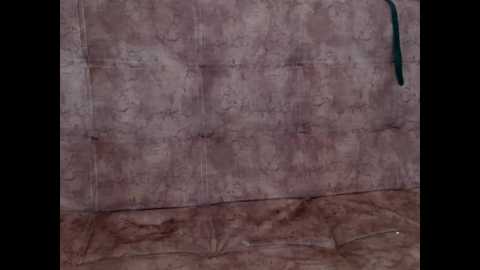 wild_roomxxx @ bongacams on 20250806