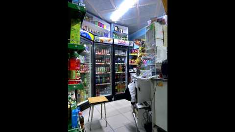 praesertim @ bongacams on 20250807