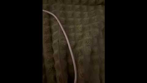 richrichia @ bongacams on 20250815