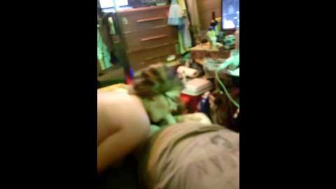 starrnmikeus @ bongacams on 20250817