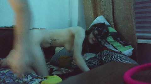 eva_adam2677