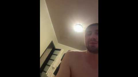 fox_81