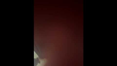 fox_81