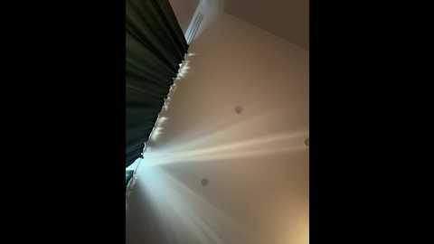 koshka11 @ bongacams on 20250830