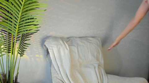maribett