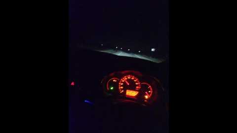 evafom @ bongacams on 20250903