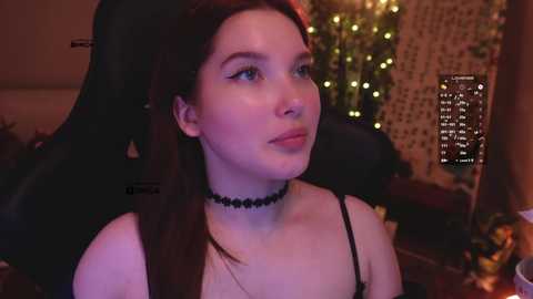 mispopi