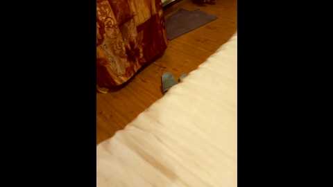 kukaruka01 @ bongacams on 20250907