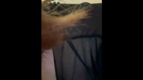 pornohuk