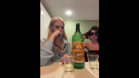 vibromashulkadashulka