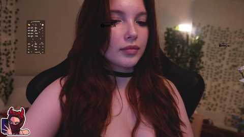 mispopi