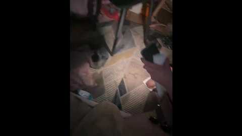 achilles001 @ bongacams on 20250923