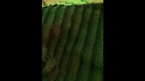 honeykj @ bongacams on 20250927