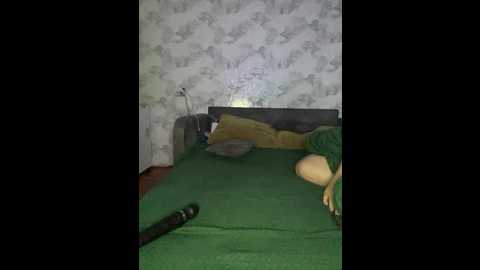 crazy_lady
