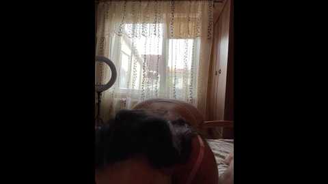 3hotandyoung3 @ bongacams on 20251003