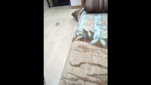 anallovess @ bongacams on 20251004