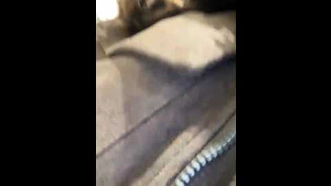 sasha_orlova @ bongacams on 20251006