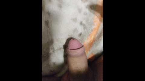 sexpara696969 @ bongacams on 20251009