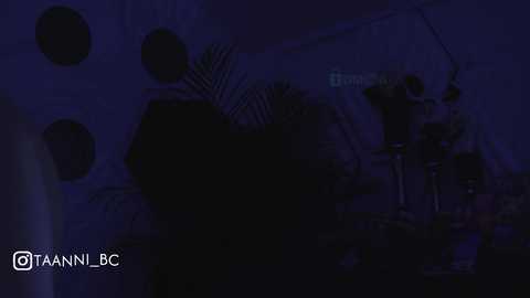 taanni @ bongacams on 20251011