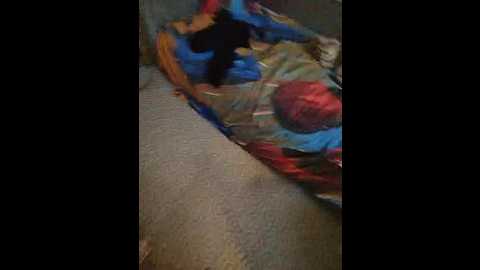 indikasativa007 @ bongacams on 20251014