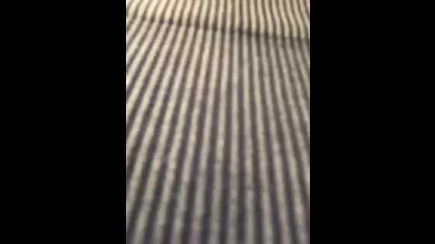 nezukoo @ bongacams on 20251016