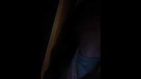 totodasha